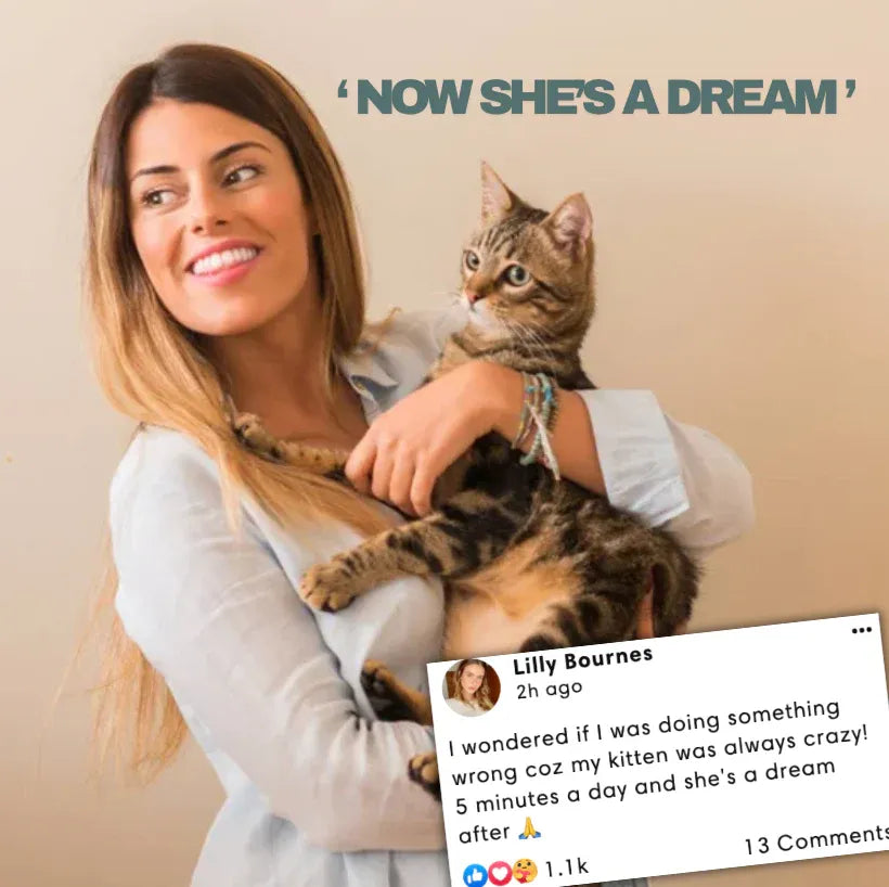 Kitty Therapy Ball